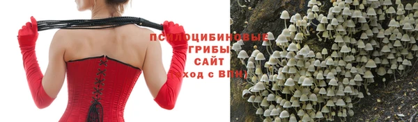 хмурый Алзамай
