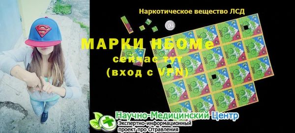 хмурый Алзамай