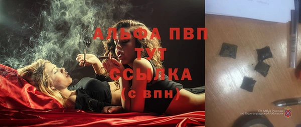 хмурый Алзамай