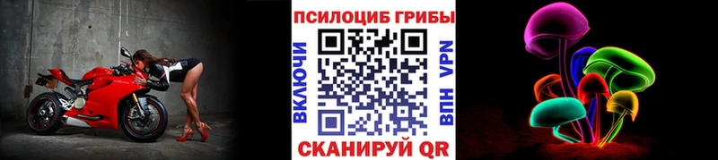 shop формула  наркотики  Медынь  Галлюциногенные грибы Cubensis 